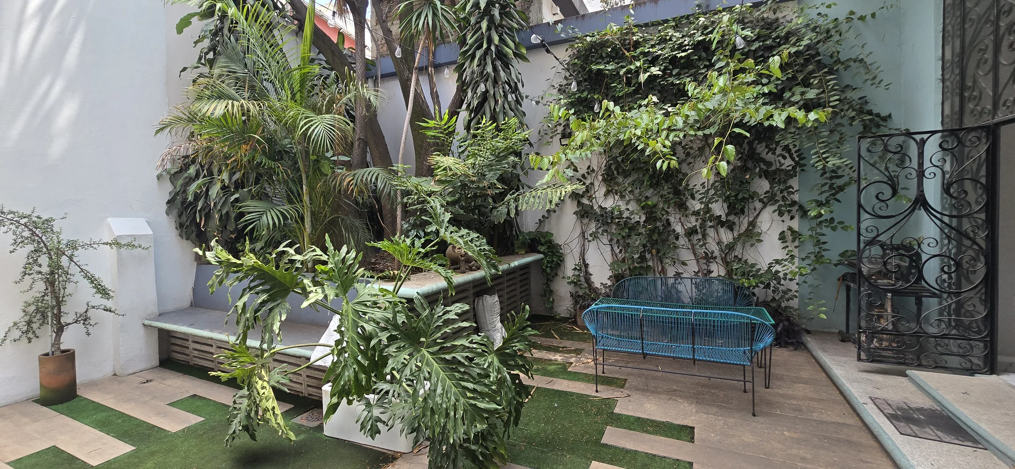The leafy courtyard and gathering space at Interamerica Studios.